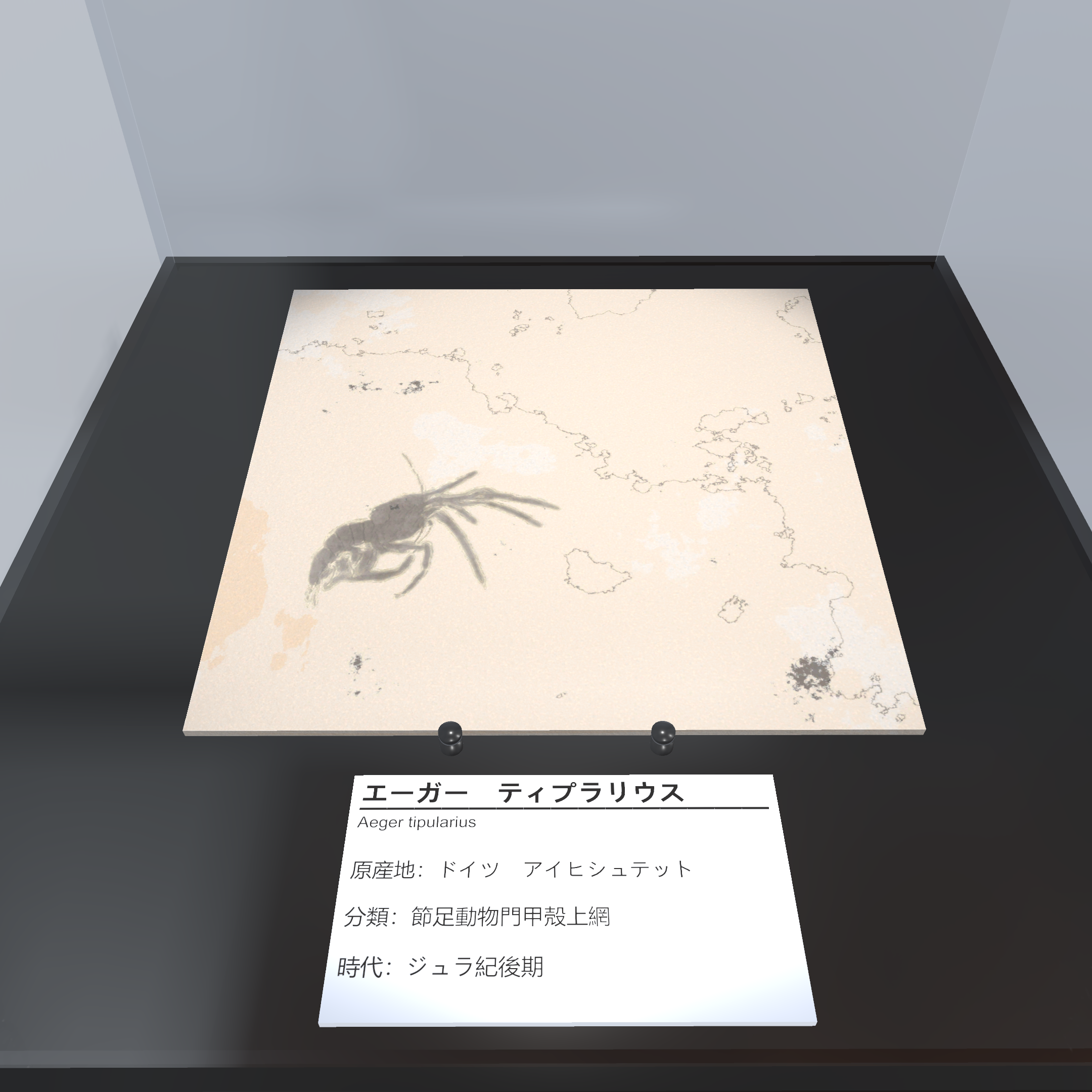 3D Model 06