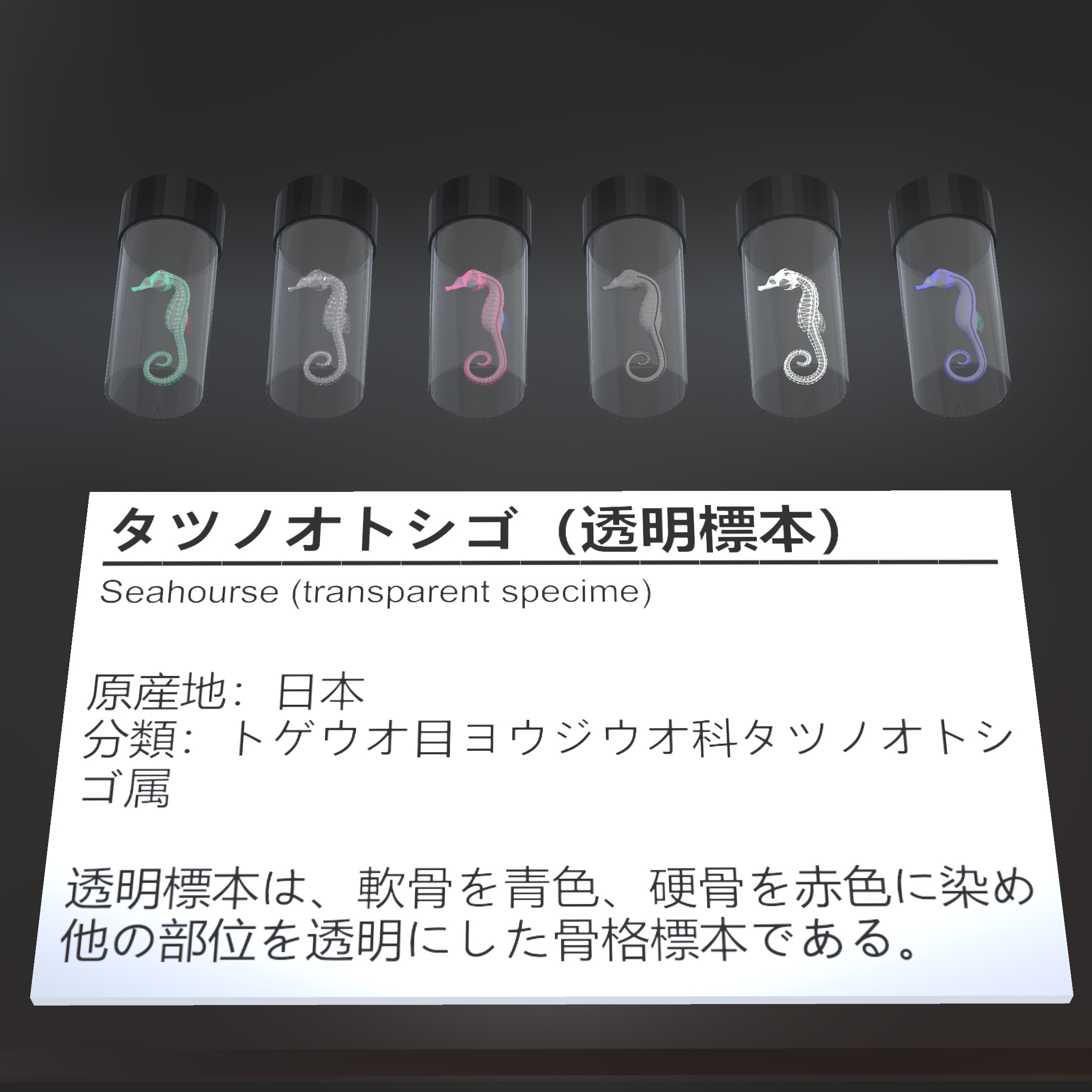 3D Model 07